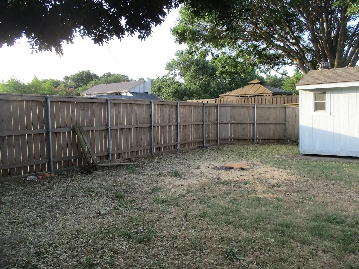 Cleared yard after professional tree removal in York Springs
